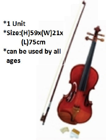 Violin 4/4 For Beginner - AM0185 MZ