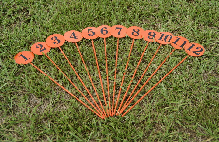 Marker Spikes - Spitzer 10890