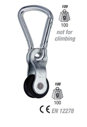 109 CAMP - NIC Access. Carabiner