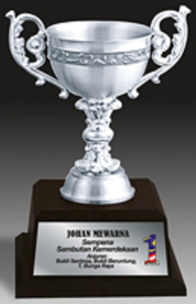 Pewter Award Trophy - APA7208
