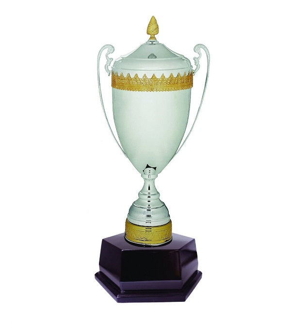 Imported Cup Trophy - ART96305