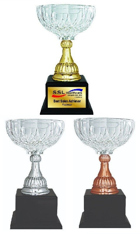 Acrylic Trophy - AMT54