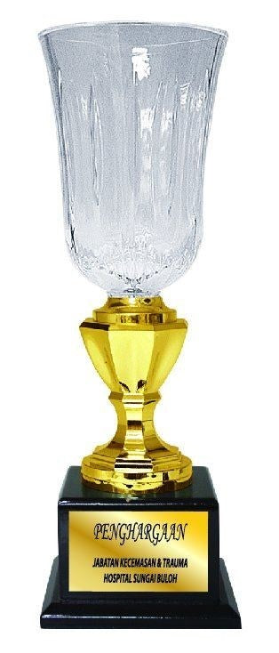 Acrylic Trophy - AMT57