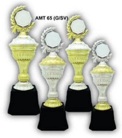 Acrylic Trophy - AMT65