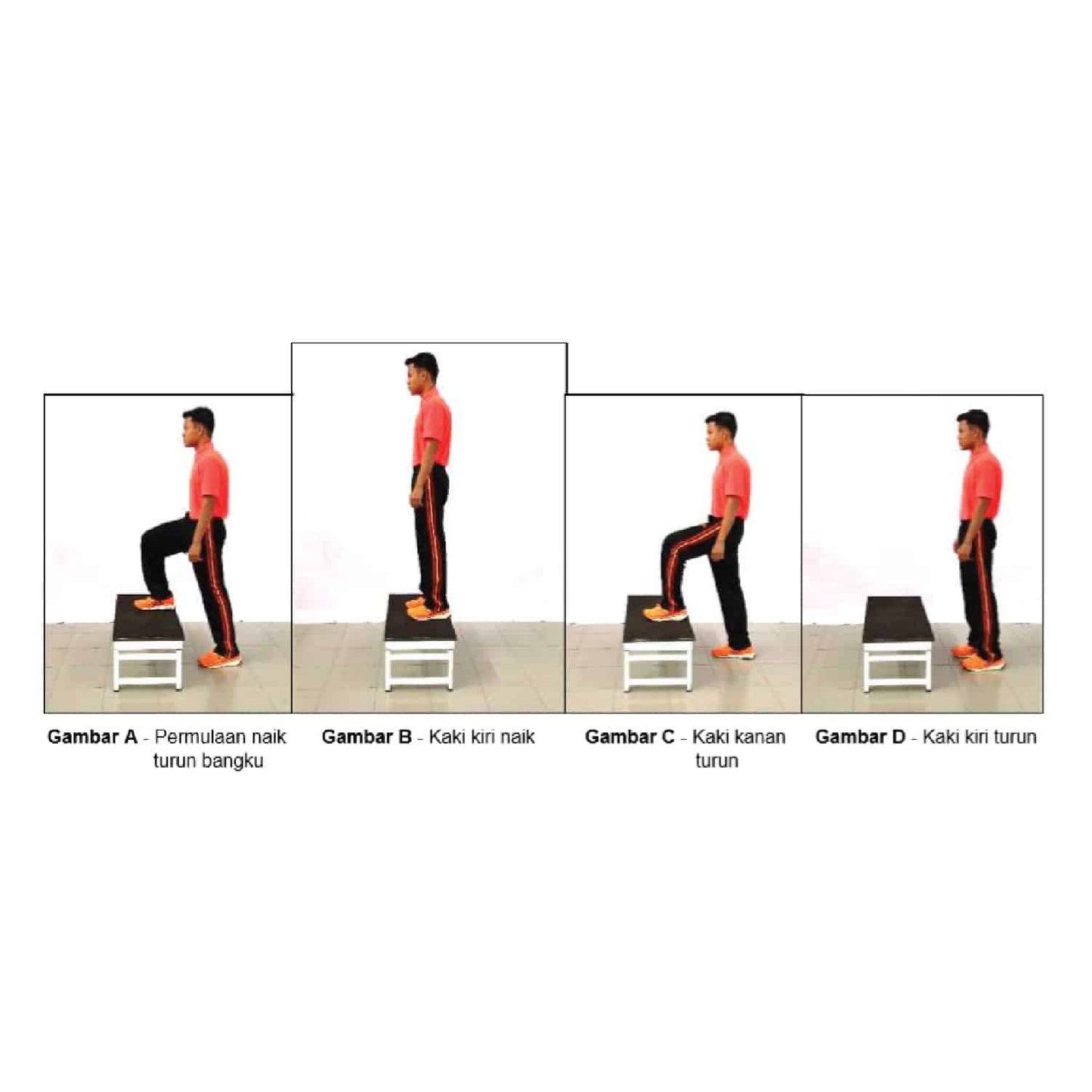 Step Up Board / Bangku Turun Naik - Segak001 Foldable DQ