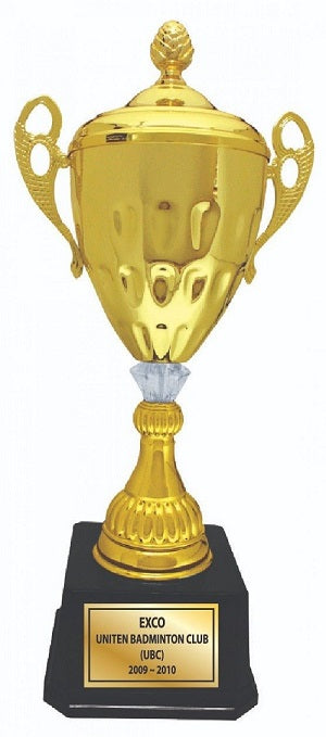 Imported Trophy Cup - BW081 CV