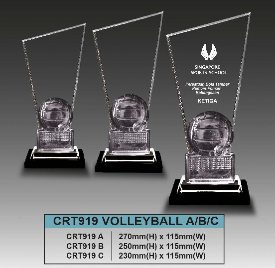 Crystal Trophy Volleyball - CRT919
