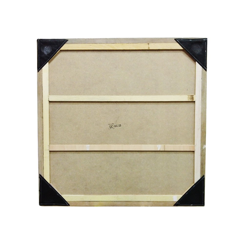 Carrom Board + Striker + Seed - GC22 CQ