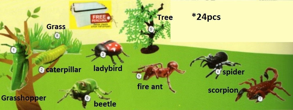 Model of Insect Set B 24pcs - SC122 PZ