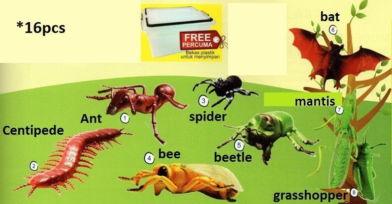 Model of Insect Set D 16pcs - SC124 PZ
