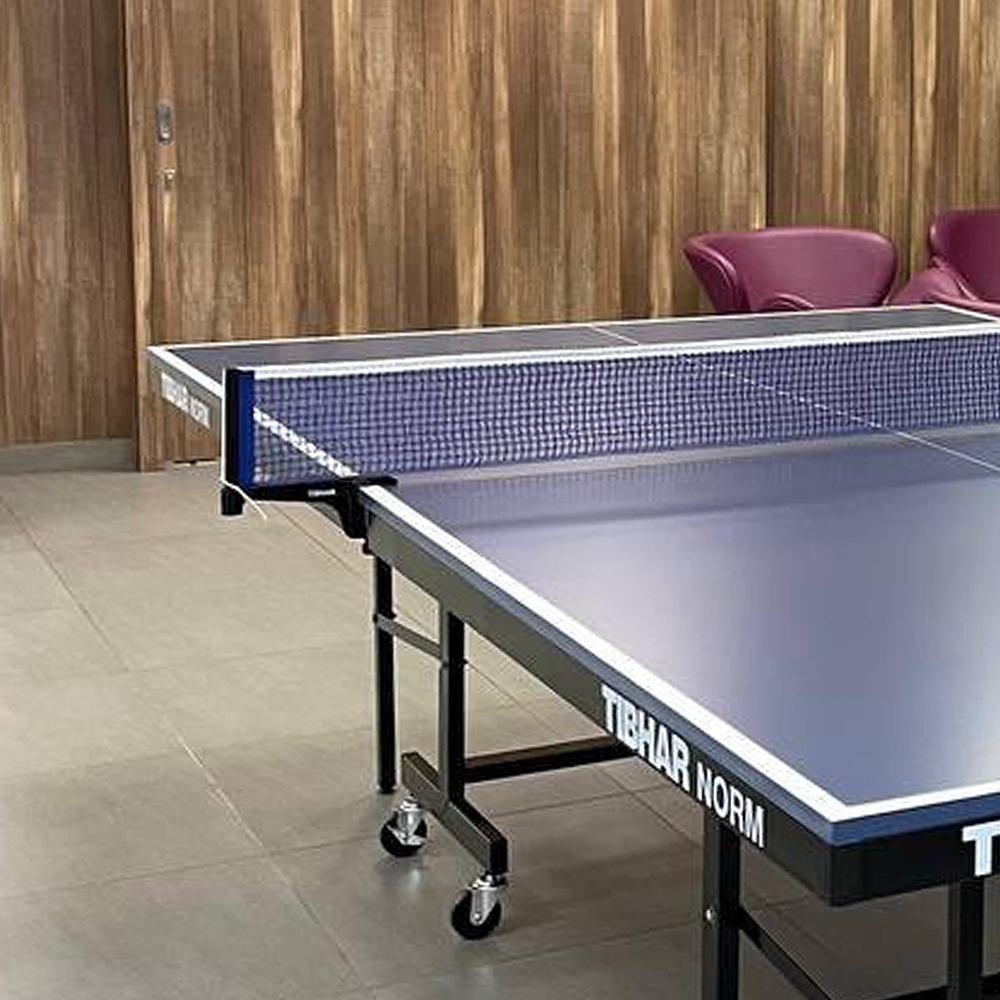 TT Table - Tibhar Norm 18mm + Post + Net WQ