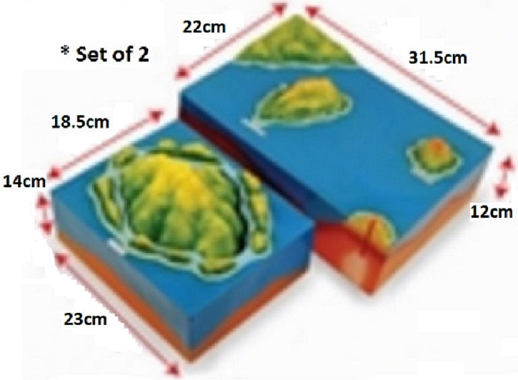 Model of Diastrophism - KT0059 MZ