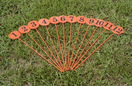 Marker Spikes - Spitzer 10890
