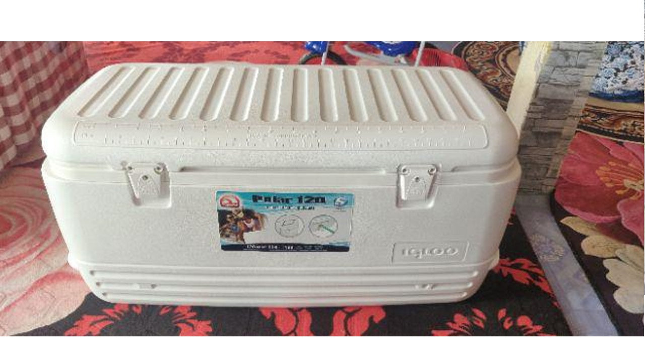Cooler Box - Igloo Polar 120QT /114Lt UQ