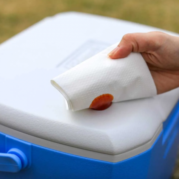 Cooler Box - Coleman 16QT/15L Excursion