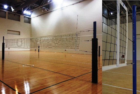 Volleyball Competition Post Model 1 & 2 - Spitzer 50310/50320