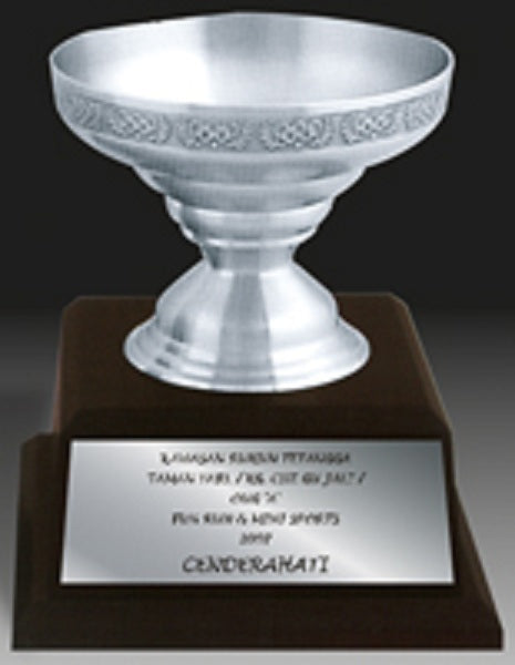 Pewter Award Trophy - APA7202