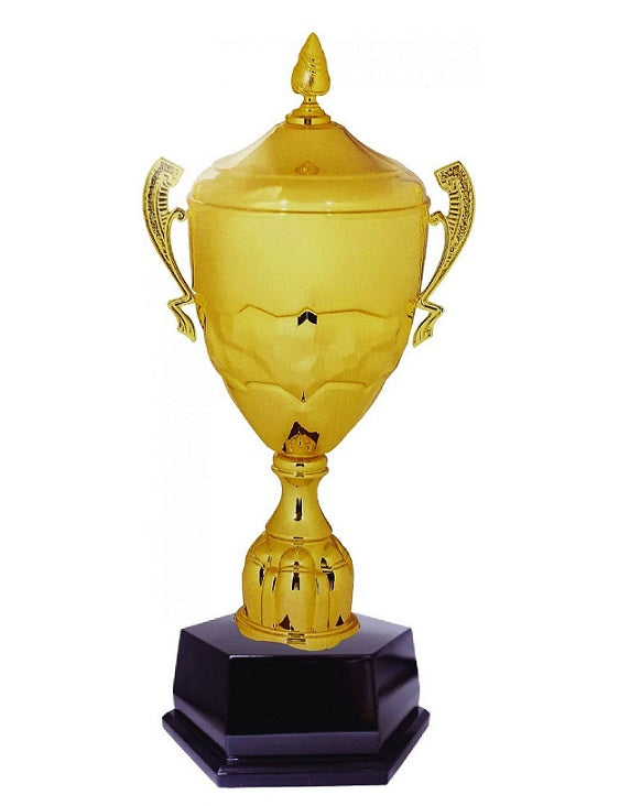 Imported Cup Trophy - ART96148