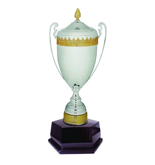 Imported Cup Trophy - ART96305