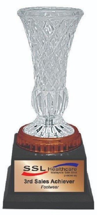 Acrylic Trophy - AMT01