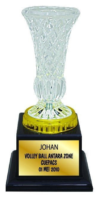 Acrylic Trophy - AMT02