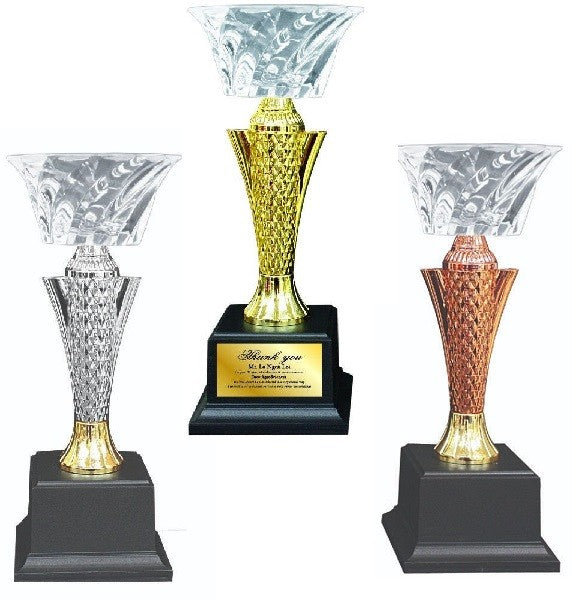 Acrylic Trophy - AMT79