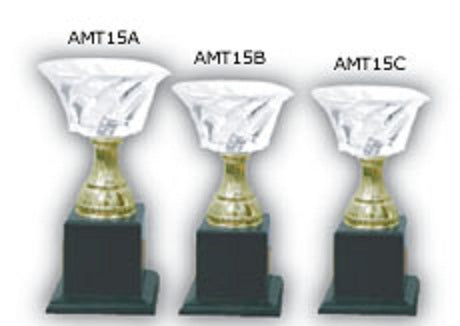 Acrylic Trophy - AMT15