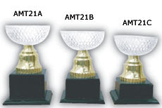 Acrylic Trophy - AMT21