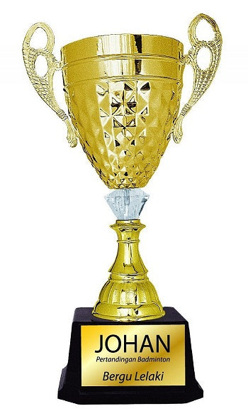 Imported Trophy Cup - BW108G