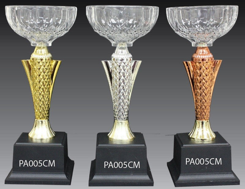 Acrylic Trophy - AMT78