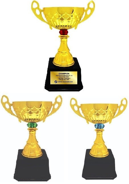 Imported Trophy Cup - BW084