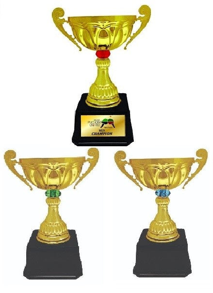 Imported Trophy Cup - BW087