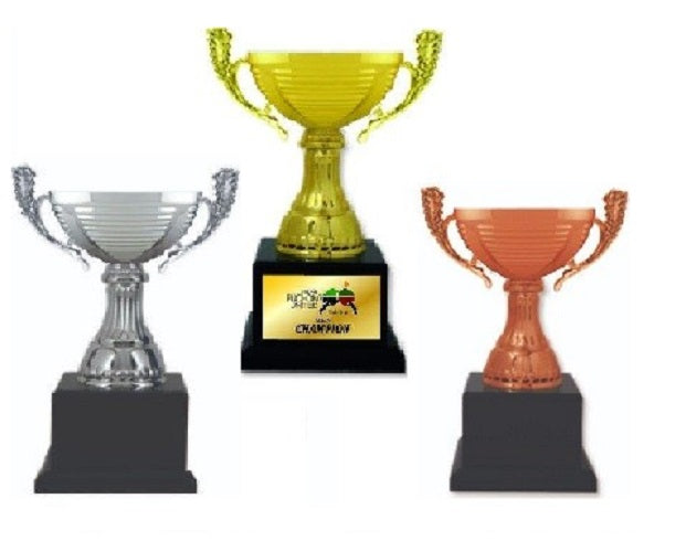 Imported Trophy Cup - BW131