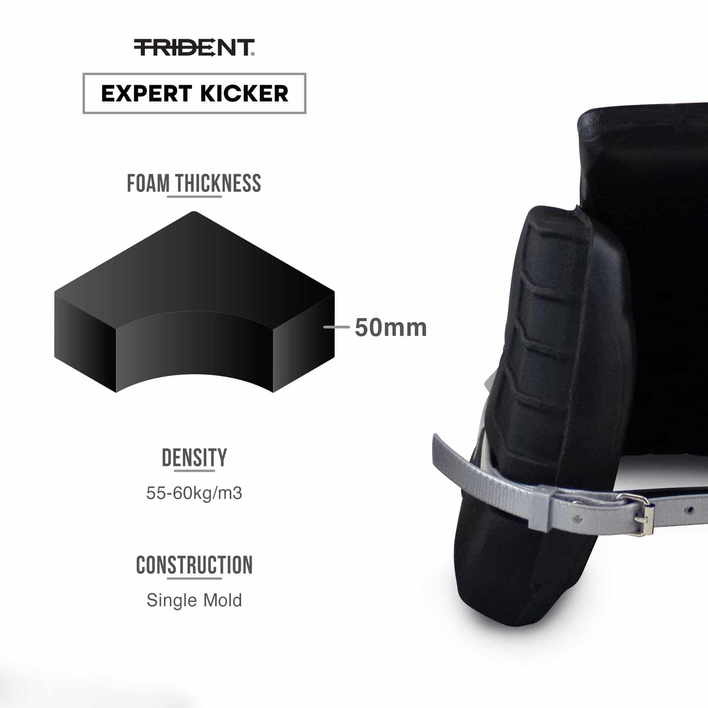 Hockey Kickers - Trident Gatekeeper Expert KQ