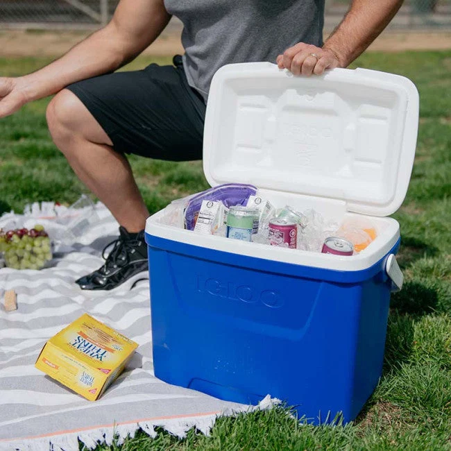 Cooler Box - Igloo Laguna 28QT (26L) UQ