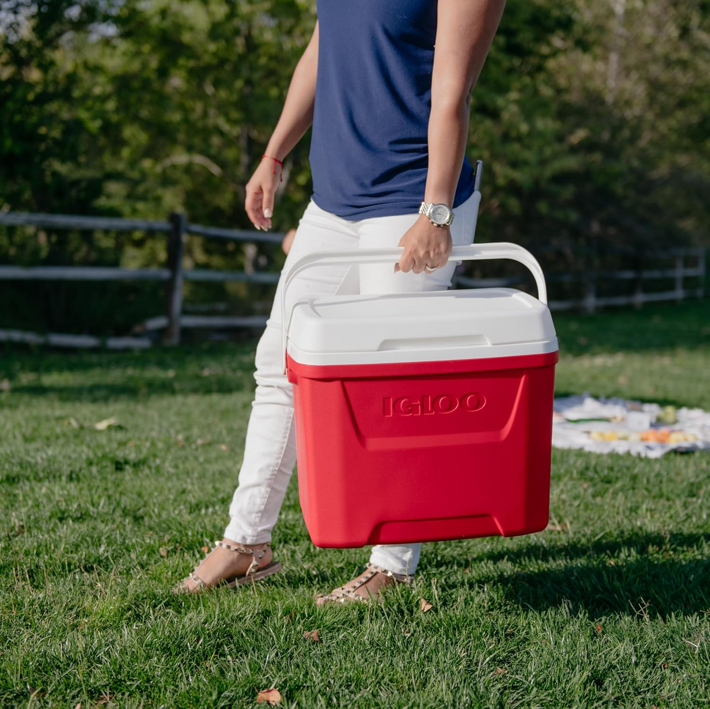 Cooler Box - Igloo Laguna 28QT (26L) UQ