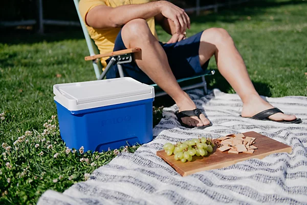 Cooler Box - Igloo Laguna 9QT (8L) UQ
