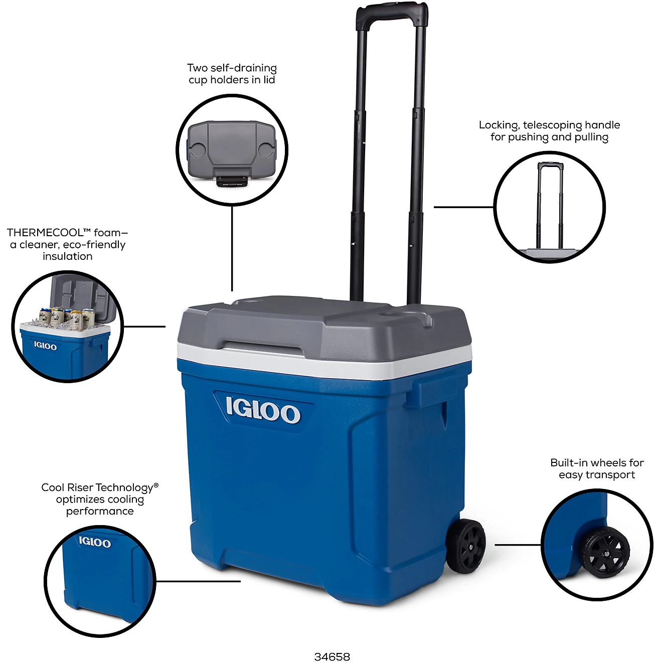 Cooler Box - Igloo Latitude 30QT (28L) + Roller UQ