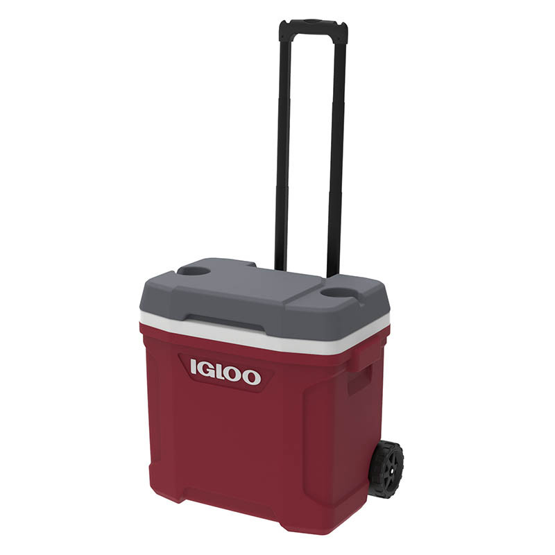 Cooler Box - Igloo Latitude 30QT (28L) + Roller UQ