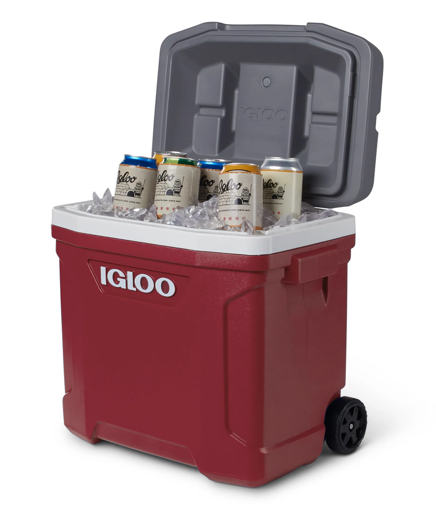 Cooler Box - Igloo Latitude 30QT (28L) + Roller UQ
