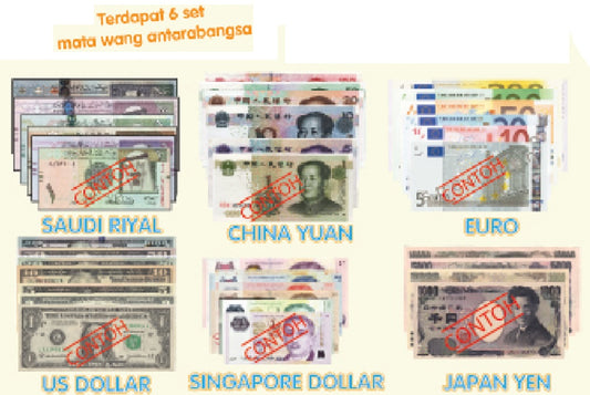 Southeast ASEAN Currency Set 455pcs - MT090 PZ