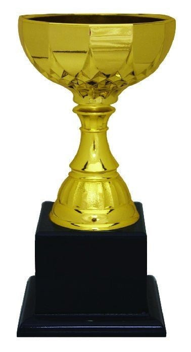 Plastic Makeup Trophy - PMT160