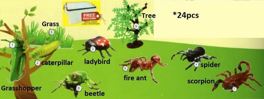 Model of Insect Set B 24pcs - SC122 PZ