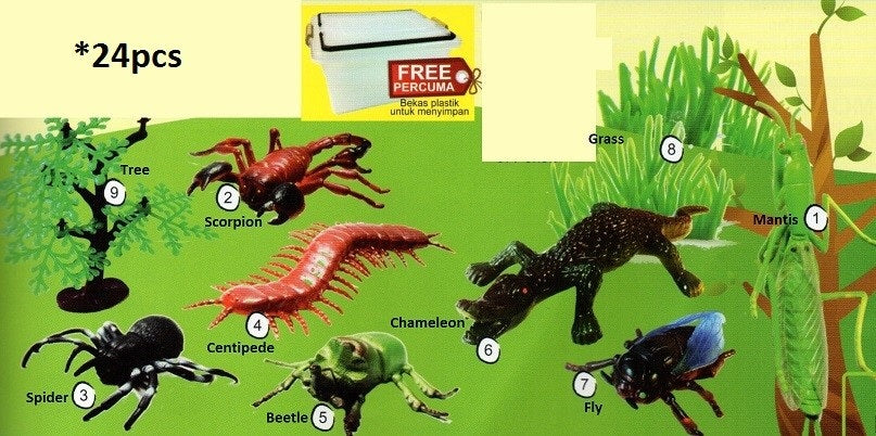 Model of Insect Set F 24pcs - SC126 PZ