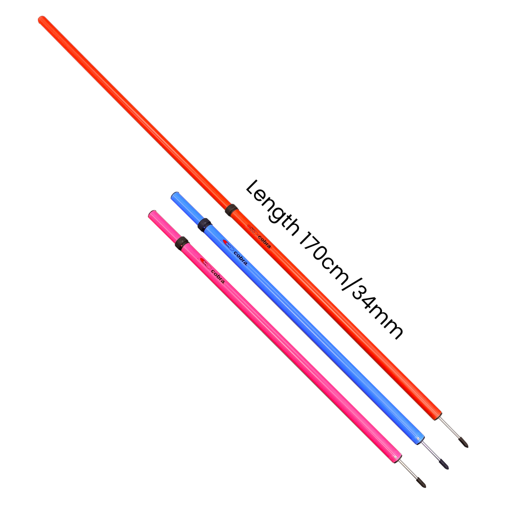 Slalom Pole Set - Cobra Telescopic (12pcs + Bag) CQ