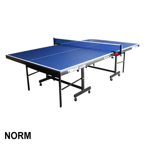 TT Table - Tibhar Norm 18mm + Post + Net WQ