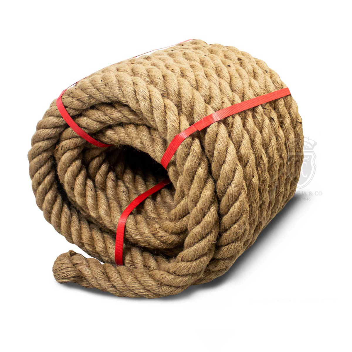 Rope Tug of War / Tarik Tali - Trident KQ
