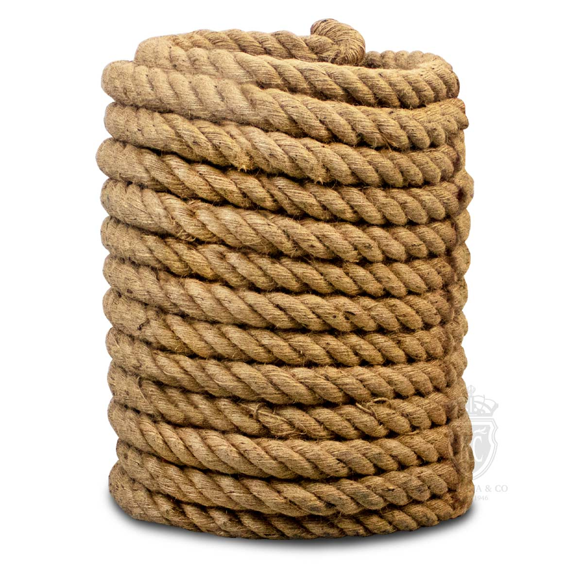 Rope Tug of War / Tarik Tali - Trident KQ