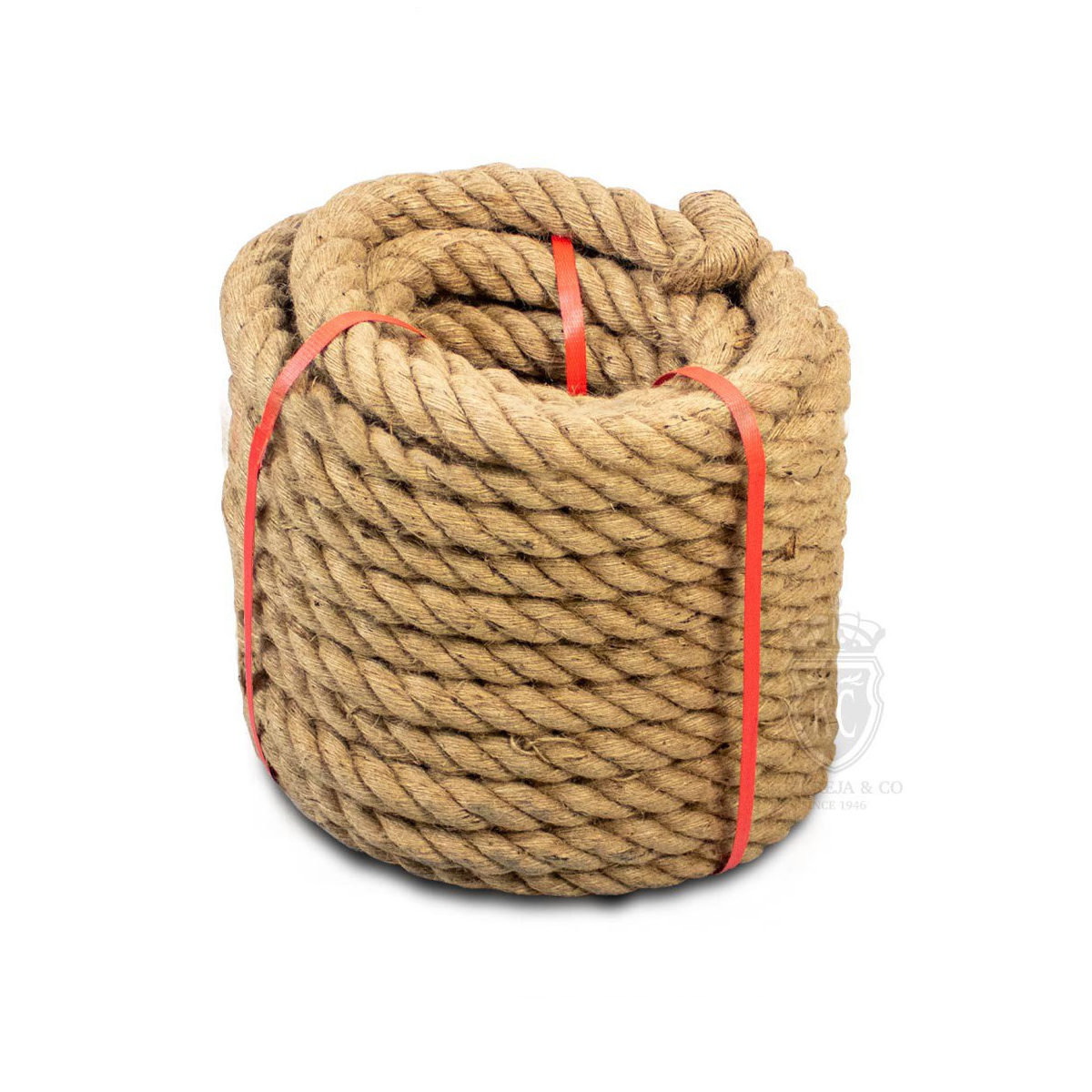 Rope Tug of War / Tarik Tali - Trident KQ
