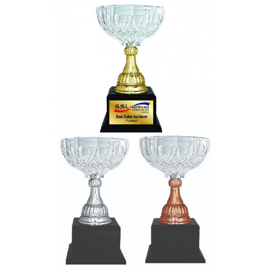 Acrylic Trophy - AMT54 